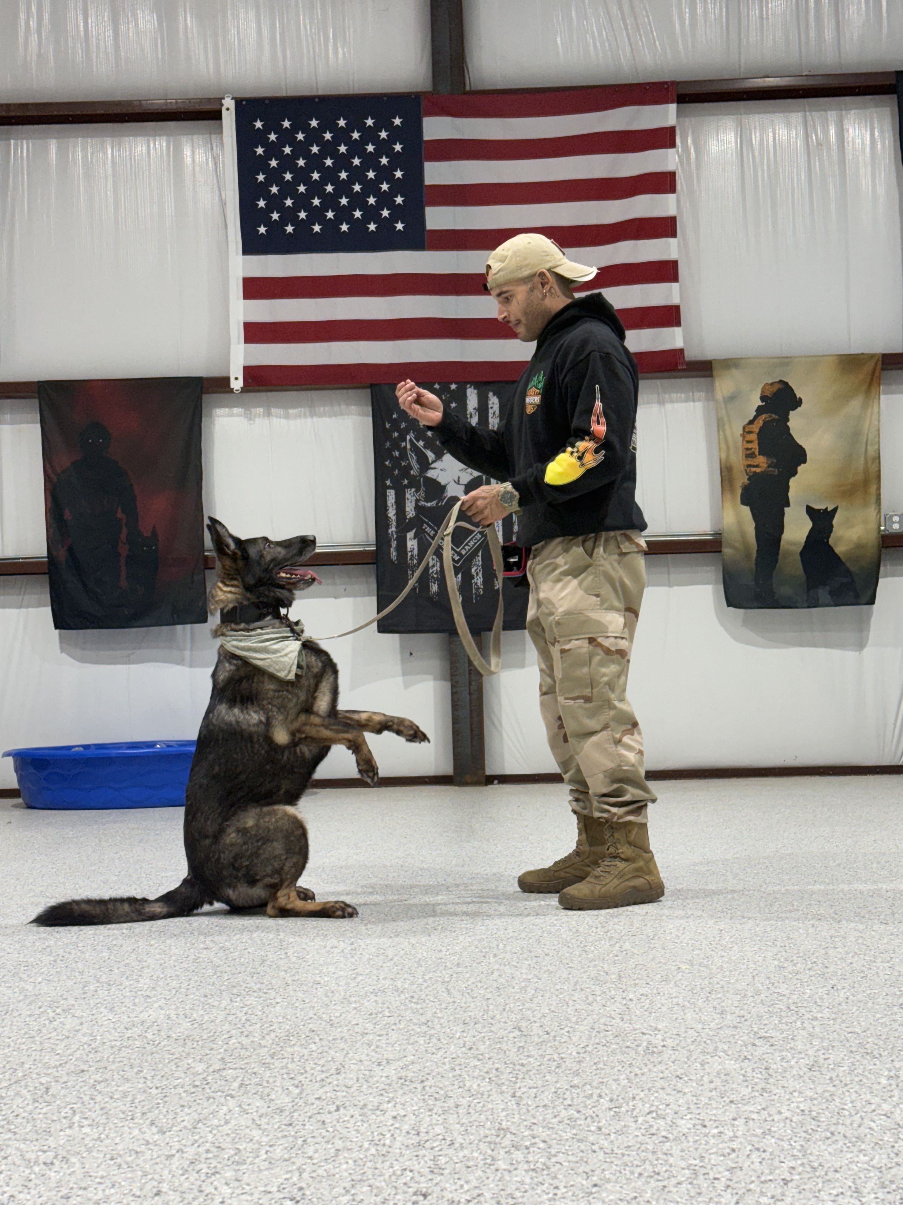 Jack Oms, Bellum Certified K9 Trainer
