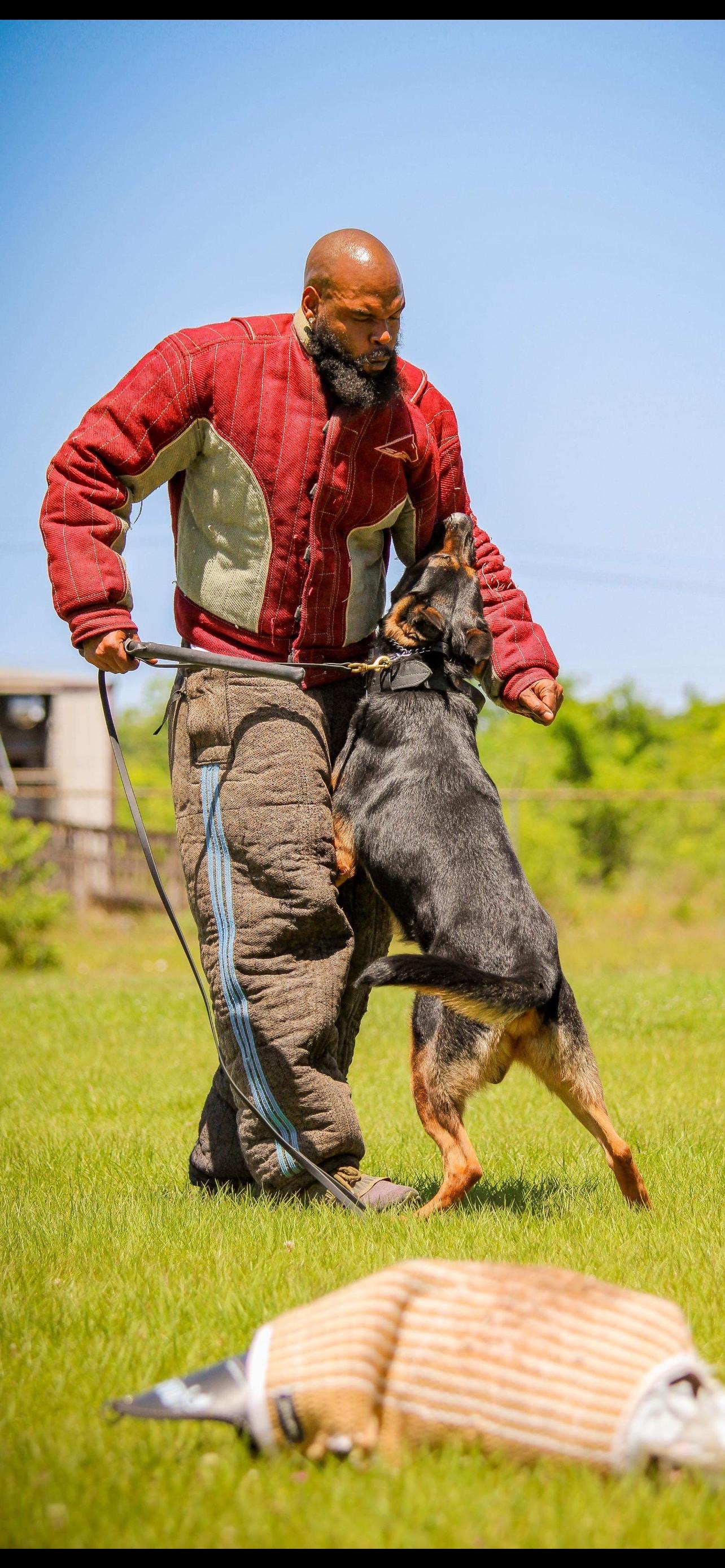 Paul Freeney, Bellum Certified Master Trainer